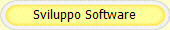 Sviluppo Software